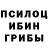Псилоцибиновые грибы Psilocybine cubensis Artem Kokotykna