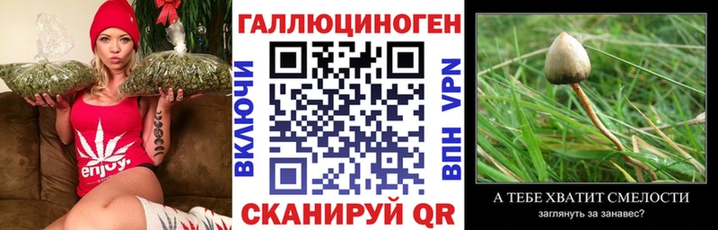 Купить где Лиски Галлюциногенные грибы ЛСД